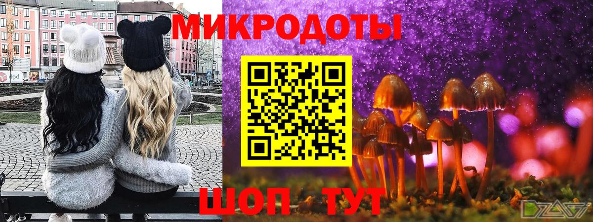Галлюциногенные грибы Cubensis  Псилоцибиновые грибы GOLDEN TEACHER  Заринск  Вход с VPN 