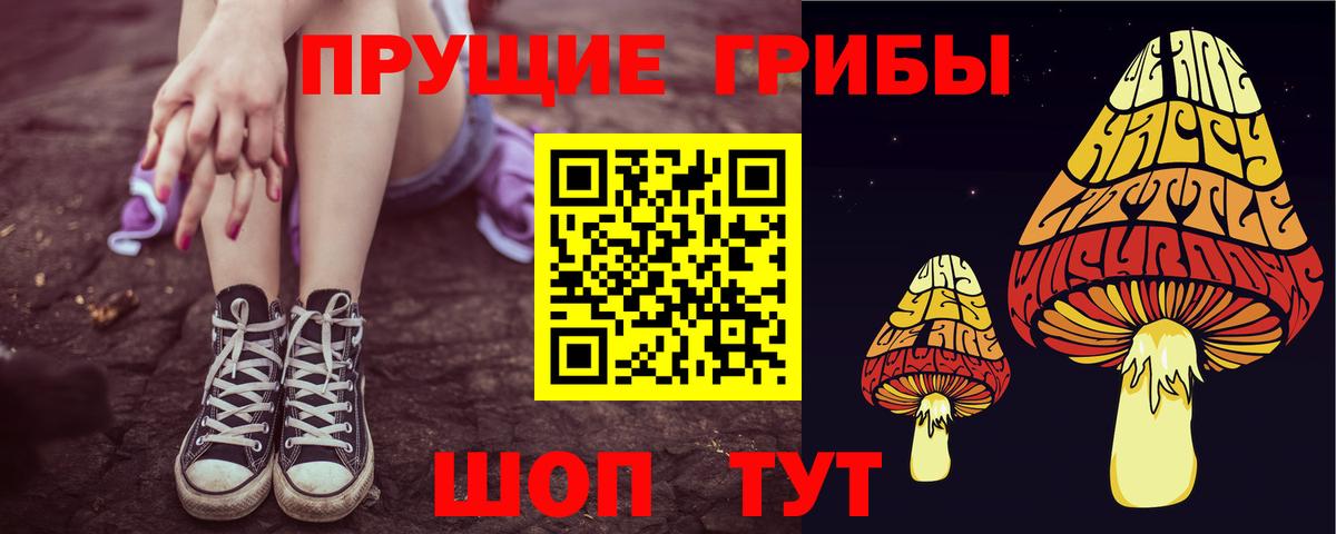 Псилоцибиновые грибы мухоморы Заринск